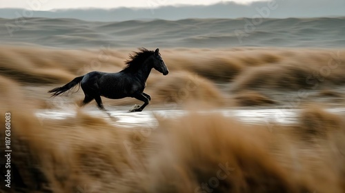 Cheval noir galopant à travers une plaine avec effet de mouvement