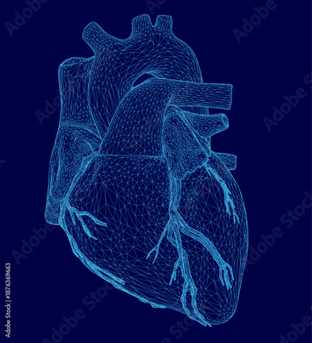 A detailed 3D wireframe model of a human heart, composed of intricate lines and shapes on a solid blue background.