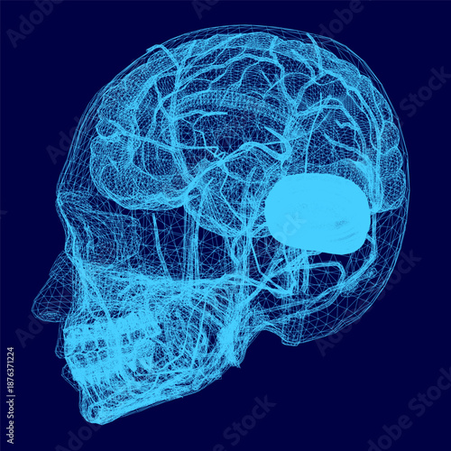 A detailed blueprint of the human brain reveals its complex anatomy, including lobes, cerebellum, and neural pathways.