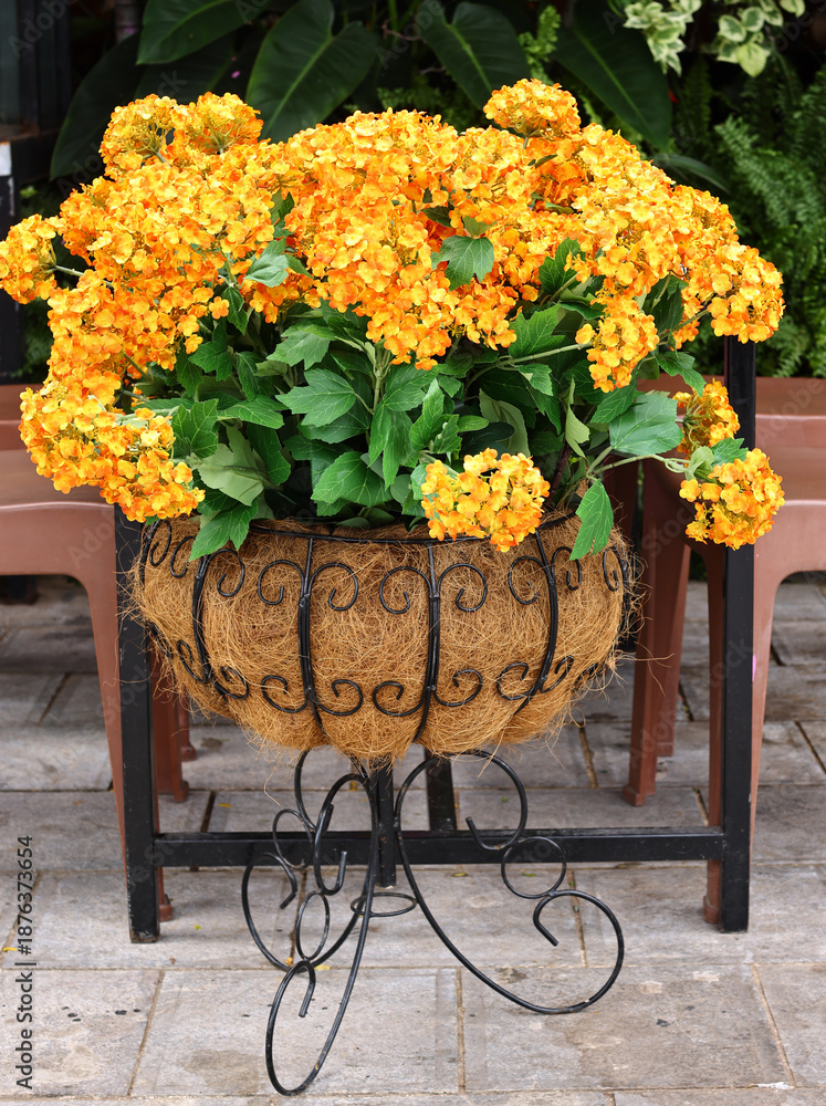 Fototapeta premium Flowers in pots on the street decorating a cafe