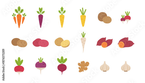 Assorted Vegetables and Root Vegetables Illustration.