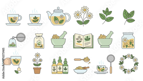 Assorted Herbal Tea Illustrations and Accessories.