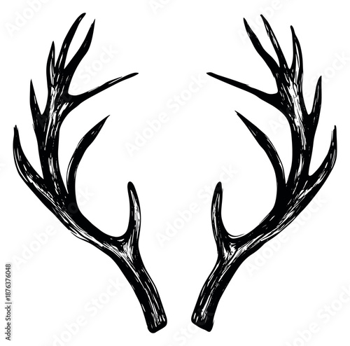 Hand drawn line art illustration of deer antlers depicting a rustic and natural design for wildlife themed projects