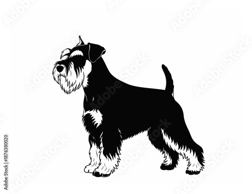 Schnauzer Silhouette - Minimalist Vector Illustration