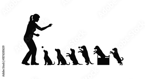 woman training dogs in various poses silhouette high quality professional detailed modern elegant stylish clean crisp