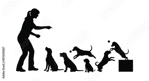 woman training multiple dogs in various positions silhouette high quality professional detailed modern elegant stylish clean