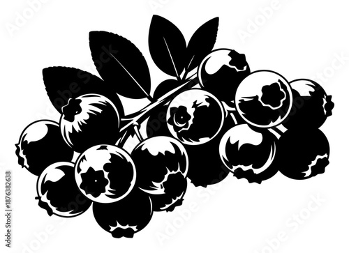 Fotografi Blueberry Silhouette Vector - Minimalist Fruit Illustration