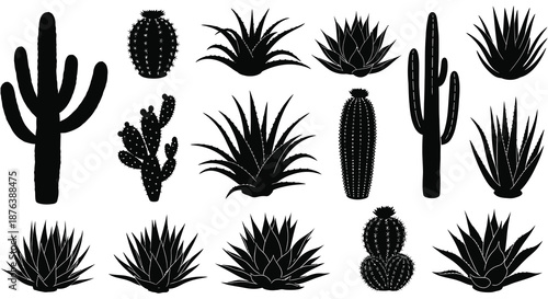 collection of various cactus and succulent plants in black silhouette high quality professional detailed modern elegant