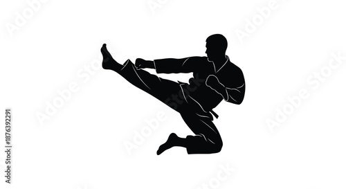 martial arts figure in dynamic kicking pose silhouette high quality professional detailed modern elegant stylish clean