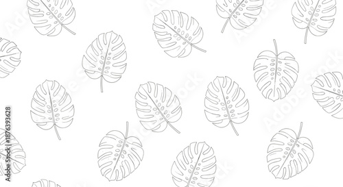 Minimalist black and white seamless pattern featuring hand-drawn outline monstera deliciosa leaves on a crisp white backdrop.