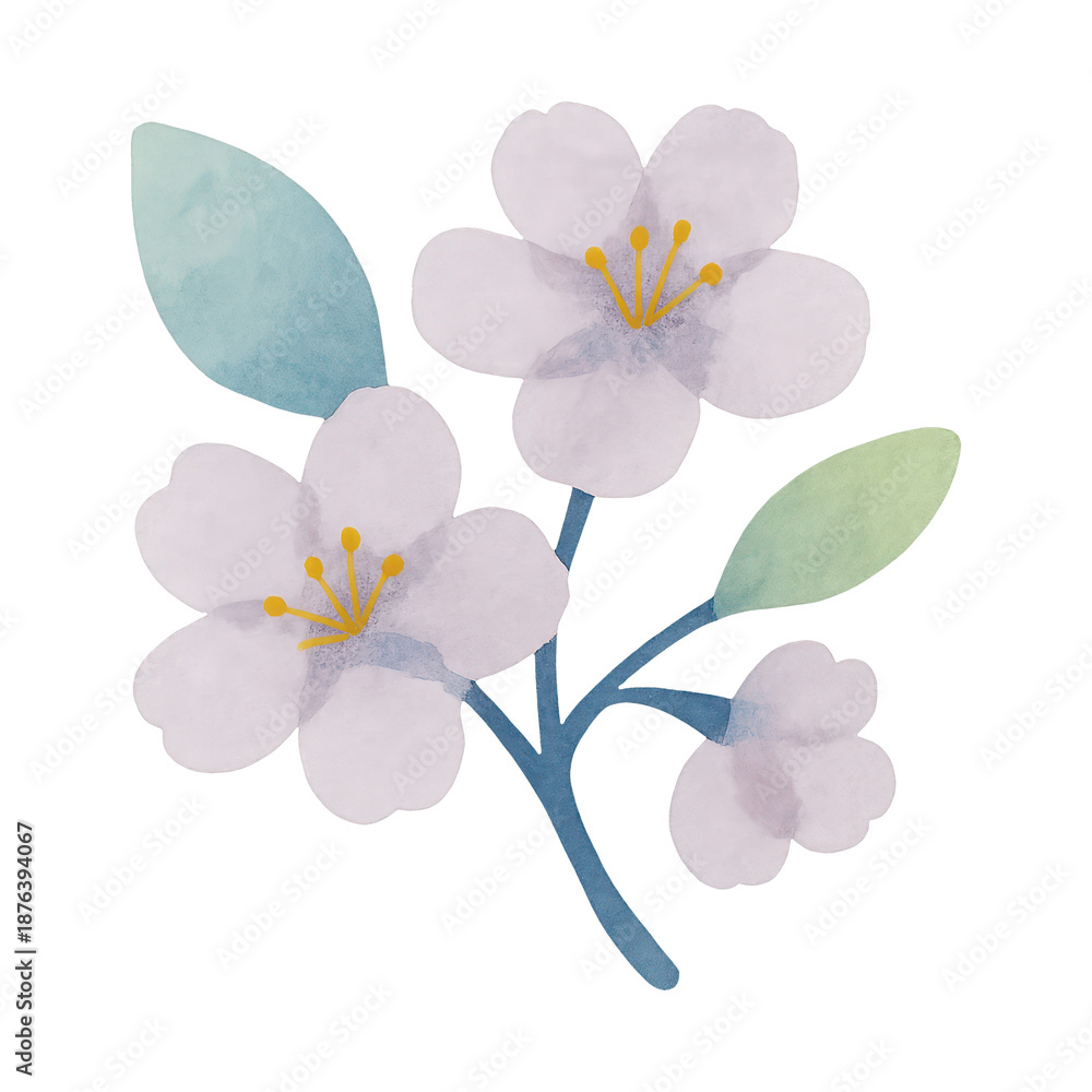 Fototapeta premium PNG Delicate watercolor cherry blossom illustration.