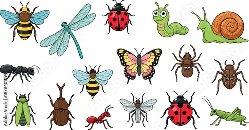 Set of cute cartoon insect and bug characters including butterfly bee ladybug dragonfly ant and snail for children education and nature design elements