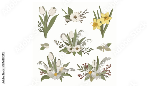Spring flower collection with tulips daffodils daisies and berries botanical vector set