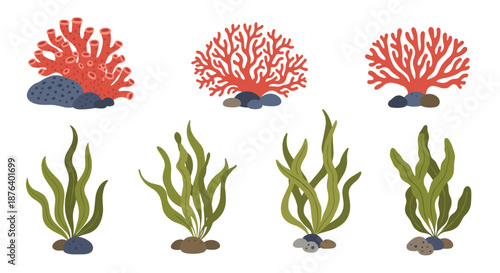 Set of different types of underwater corals and green seaweeds growing on rocks for ocean life and marine biology design.