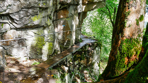 Auf dem Wanderweg Sentier des Roches (Felsenpfad) am Col de la Schlucht im Elsass