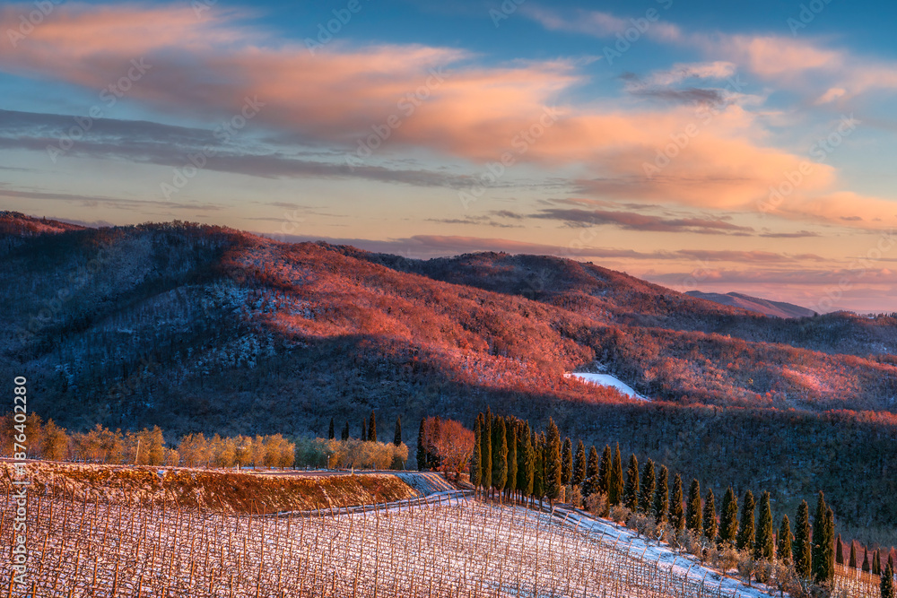 Fototapeta premium Snowy Chianti Vineyards and Cypresses at Sunset, Radda in Chianti, Tuscany