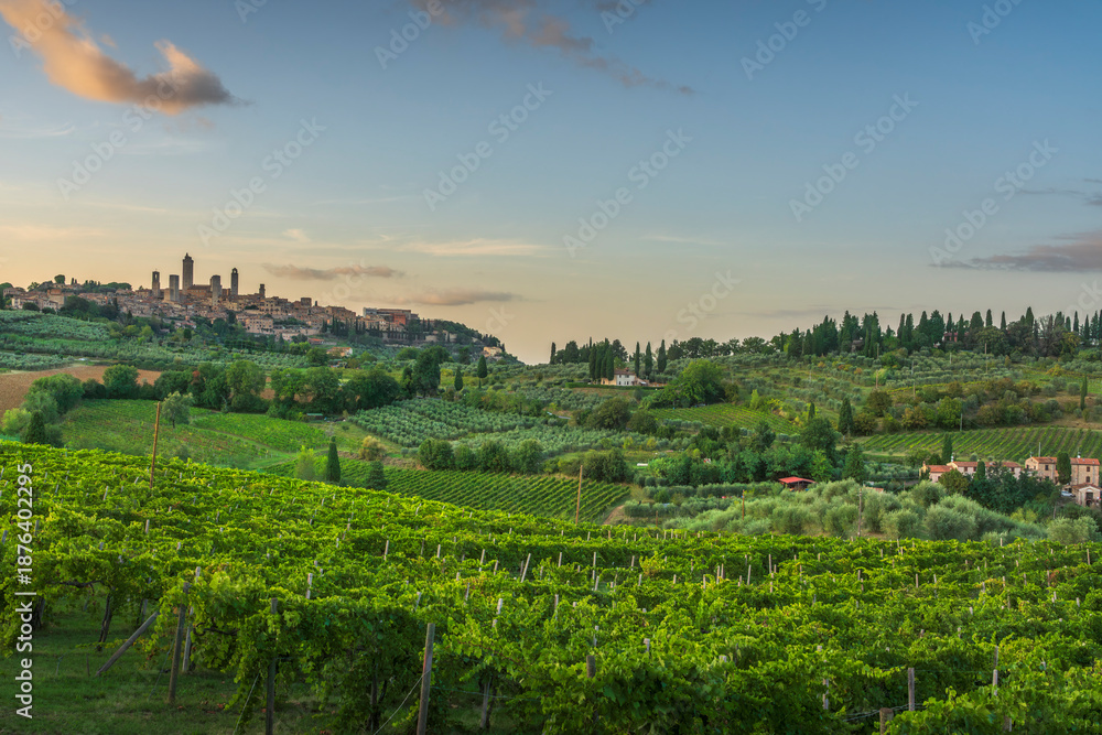Fototapeta premium San Gimignano Skyline and Vineyards at Sunset, Tuscany, Italy