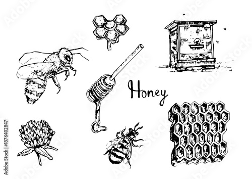 set of hand drawn illustrations