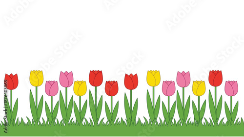 A vibrant illustration of a border of colorful tulips in red, yellow, and pink, with green stems and leaves, growing in a strip of green grass against a clean white background.