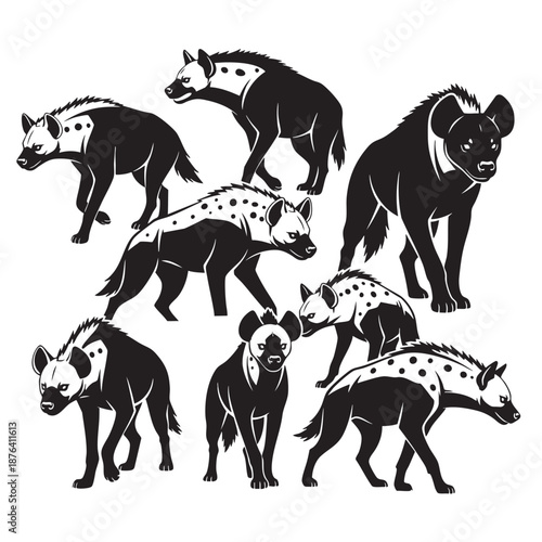 Monstera deliciosa leaf silhouette on a white background for graphic design