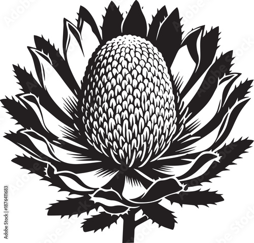 Black and White Botanical Flower Illustration with Detailed Petals for Nature and Decorative Design