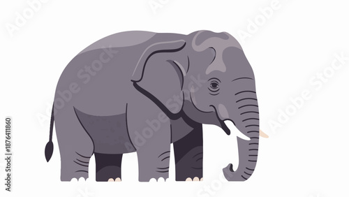 A large gray elephant with a trunk, tusks, and large ears stands on a white background