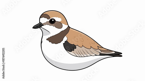 A cartoon bird with brown and white plumage, black eyes, and a pointed beak
