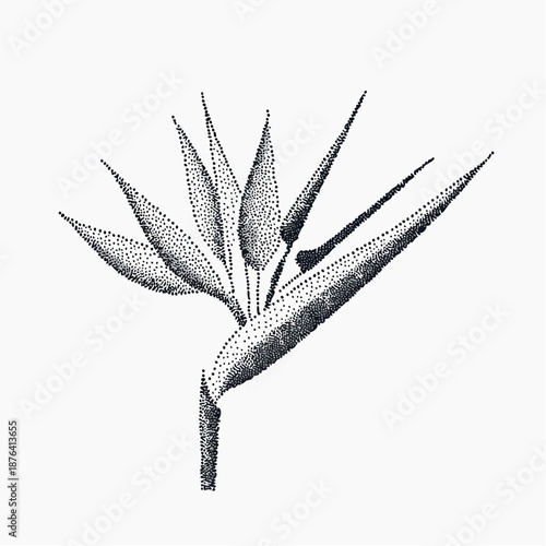 A vibrant illustration capturing the exotic allure of a tropical Bird of Paradise flower rendered in a distinctive stipple art technique, showcasing its unique form and elegant silhouette