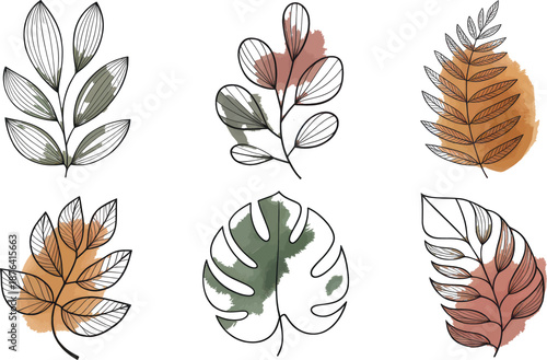 Six minimalist botanical line art elements feature abstract watercolor splashes in muted earth tones for modern decorative use.