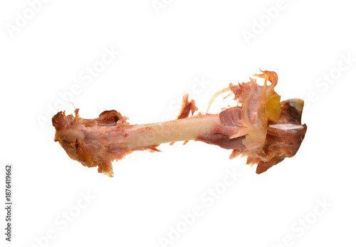 chicken bone isolated on white background