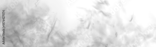 Gray smoke curls and mist layers on a white background. Detailed smoke, fog, and cloud textures for digital projects. High-resolution cutout smoke and cloud PNG file vector.