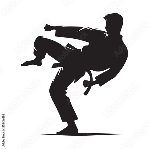 karate fighter vector silhouette clip art logo design illustration icon collection
