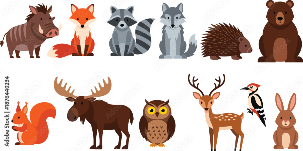Fototapeta premium Woodland forest animal collection set with wild boar fox raccoon wolf porcupine bear squirrel moose owl deer woodpecker and rabbit
