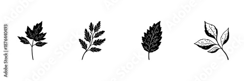 Herb And Leaf Illustrations In Hand Drawn Style Set. Botanical Elements, Nature-Inspired Doodle Sketch Collection. Herbal Medicine, Culinary Use, Natural Design. Isolated Vector Illustration