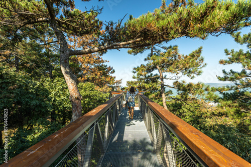 Quadro em tela Wooden sky walk viewpoint above Lake Balaton with forest scenery, elevated walkw