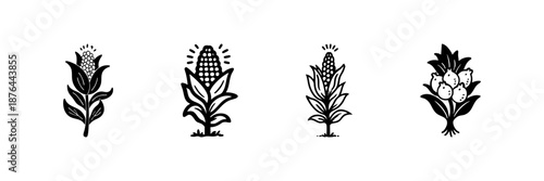 Corn Plant Icons In Hand Drawn Style Set. Agriculture, Farming, Crop Growth Doodle Sketch Collection. Organic Farming, Harvesting Symbols. Isolated Vector Illustration