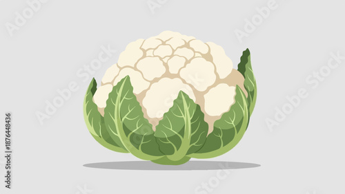 A stylized, digital illustration of a fresh cauliflower with vibrant green leaves