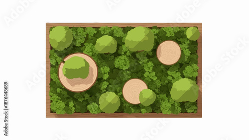 A top-down view of a miniature forest scene with moss, trees, and wood slices in a rectangular wooden planter