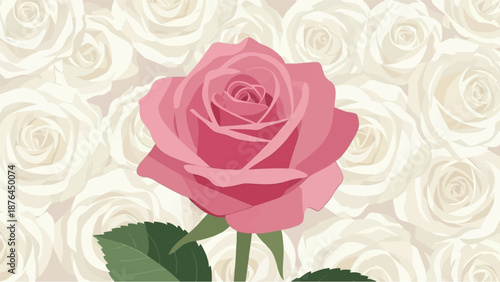 A vibrant pink rose stands out against a soft background of cream-colored roses