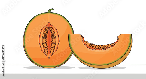 Fresh sliced cantaloupe fruit with a healthy half and a juicy wedge.