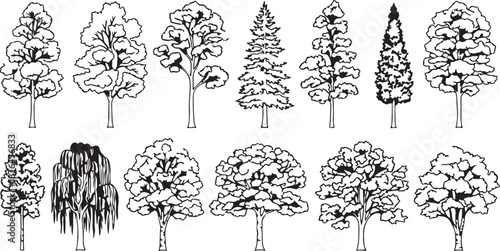 Big set of tree silhouettes. Trees of different natural zones, vector illustration.