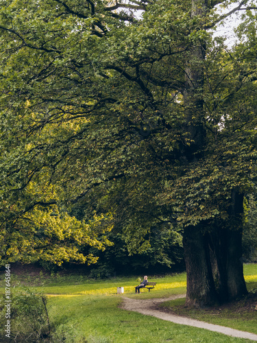 A lonely woman sits on a bench in a park