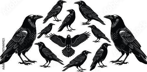 Black raven and crow bird silhouettes in woodcut linocut style, various corvid poses including flying and standing on white background. (21 words)