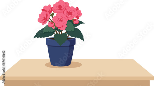 Vibrant Pink Begonia Houseplant in Dark Blue Pot on Wooden Table Illustration wfh