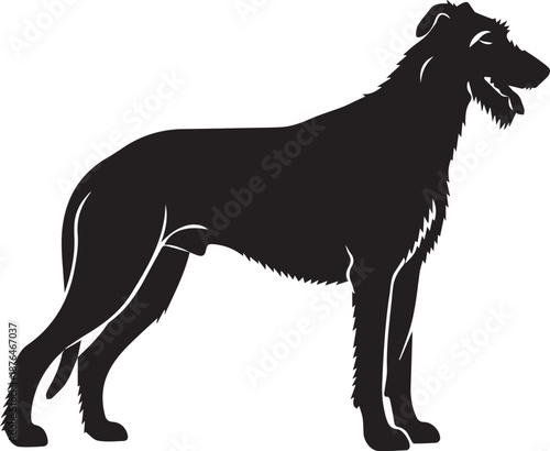 Elegant black silhouette of a borzoi dog standing proudly