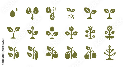 Collection of Green Plant Growth Stages Icons.