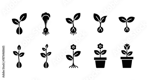 Collection of Plant Growth Stages Icons.