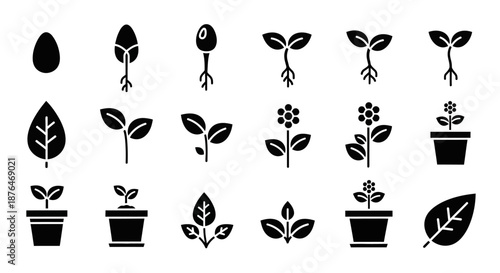 Collection of Various Plant Growth Stages Icons.
