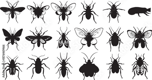 Collection of various insect silhouettes on white background