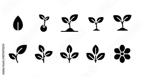 Seedling Growth Stages Silhouette Icons Set.